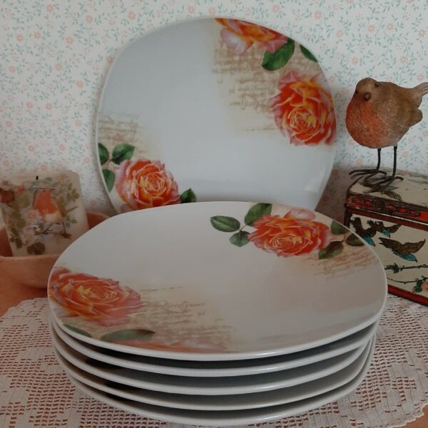 6 bordjes Schloss Amaliënburg