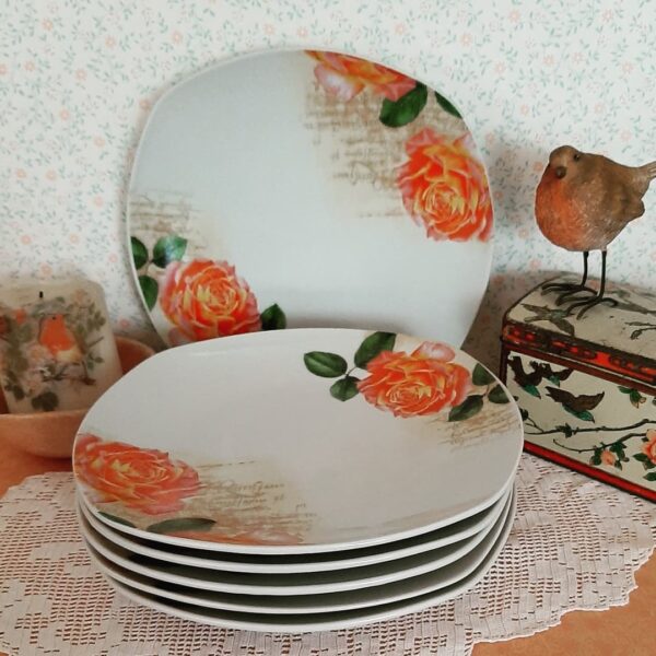 6 bordjes Schloss Amaliënburg