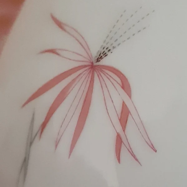 Vintage Esschenbach servies