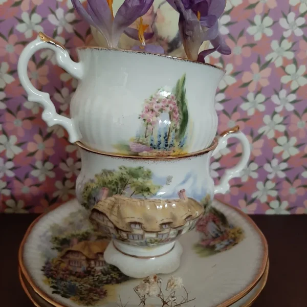 Kop en schotel Elisabethan