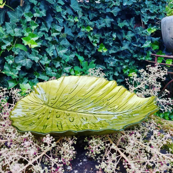 Glazen blad schaal
