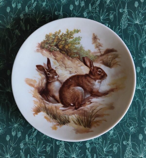 Klein schaaltje haasdecoratie