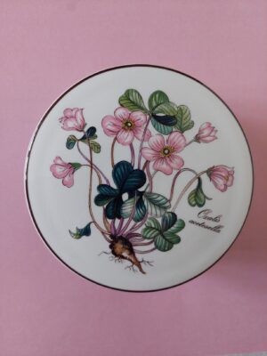 Dekseldoos Villeroy & Boch