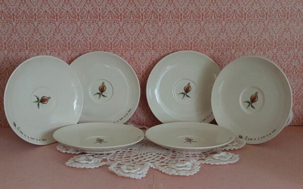 Kop en schotel, a rose is a rose