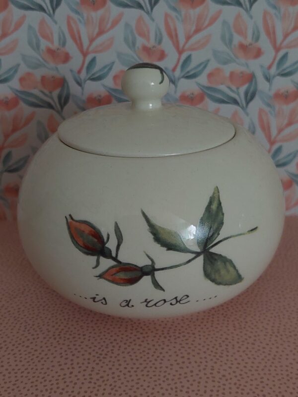 Suikerpot a rose is a rose