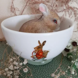 IMG_20230324_134559_104 Kom Jet ter Steege Haas