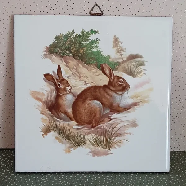 Vintage tegel hazen