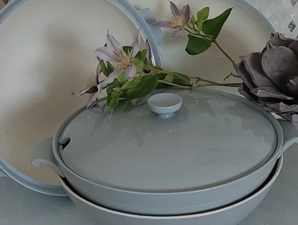 Soepterrine petrus Regout