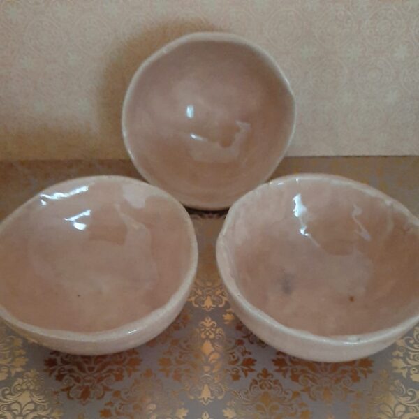 IMG_20220107_130316_333 Set aardewerk schaaltjes