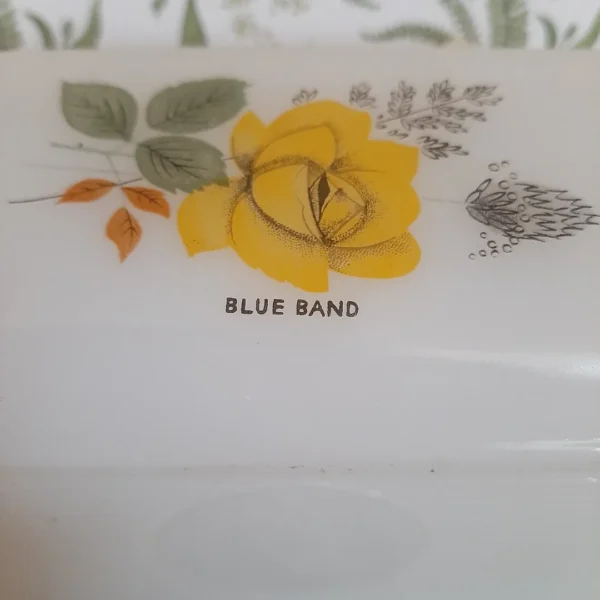 Arcopal botervloot Blueband