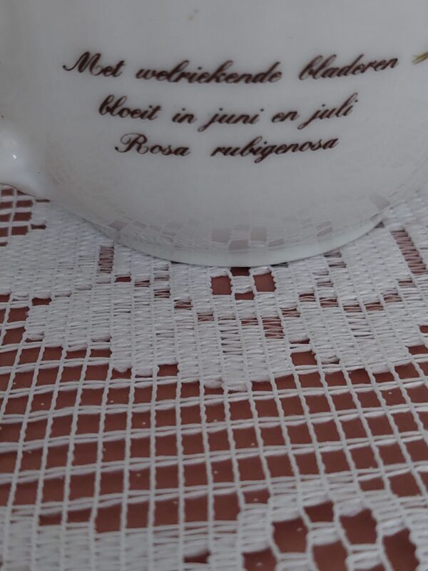 Sauskom libelle Porcelain