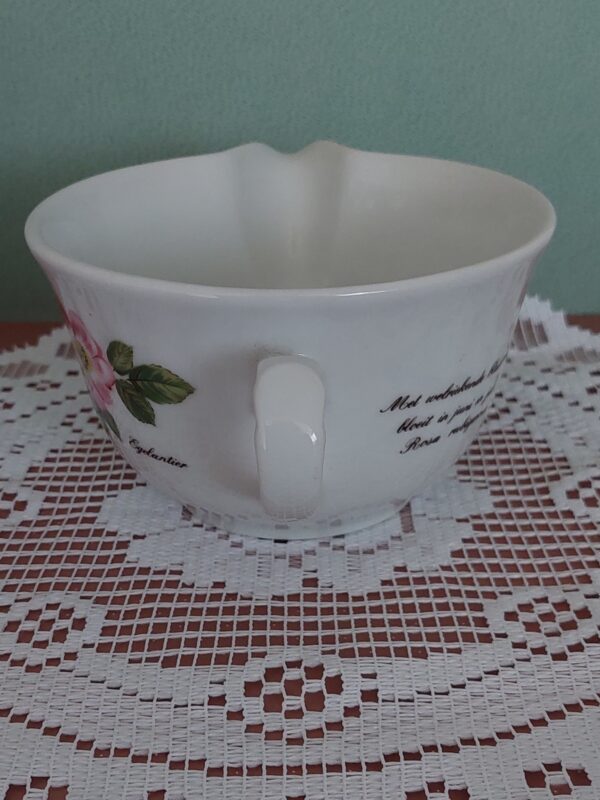 Sauskom libelle Porcelain