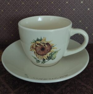 Kop en Schotel zonnebloem Jet