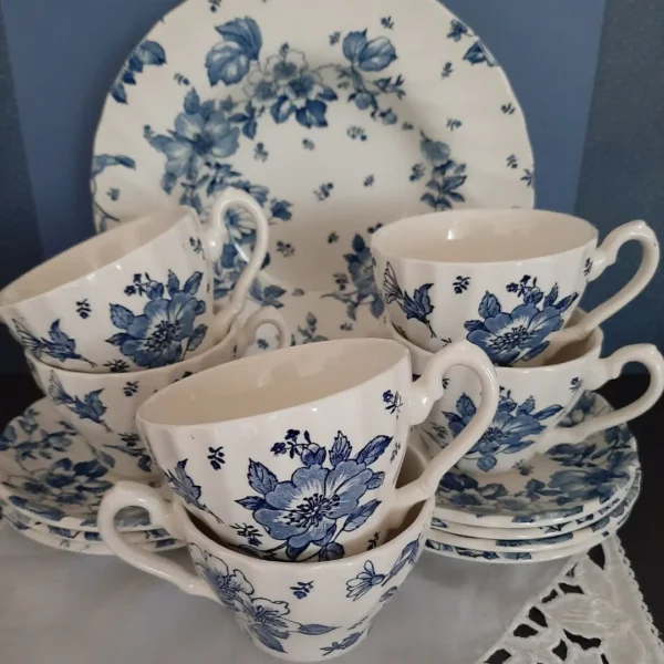 Kop en Schotel Myott Meakin