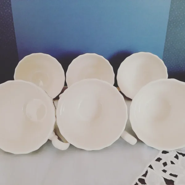 Kop en Schotel Myott Meakin