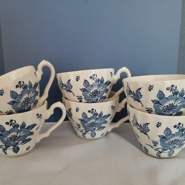 Kop en Schotel Myott Meakin