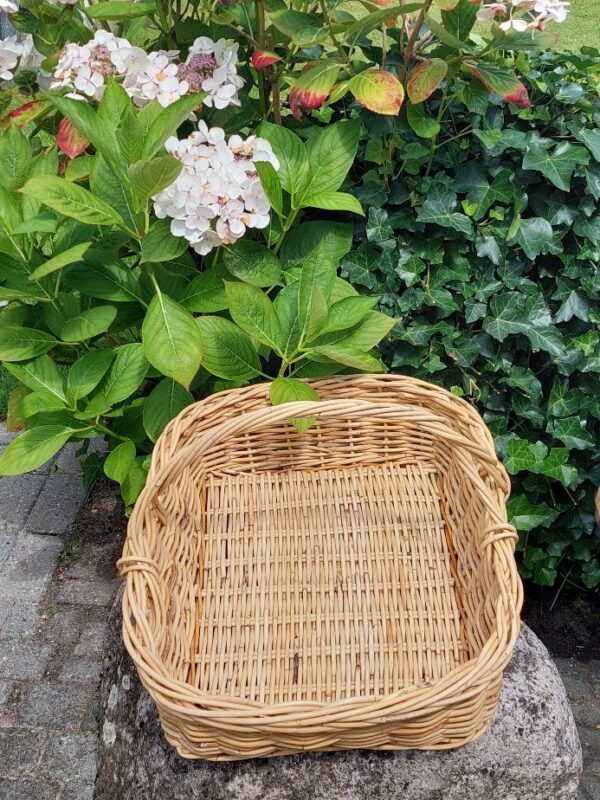 Grote rieten mand