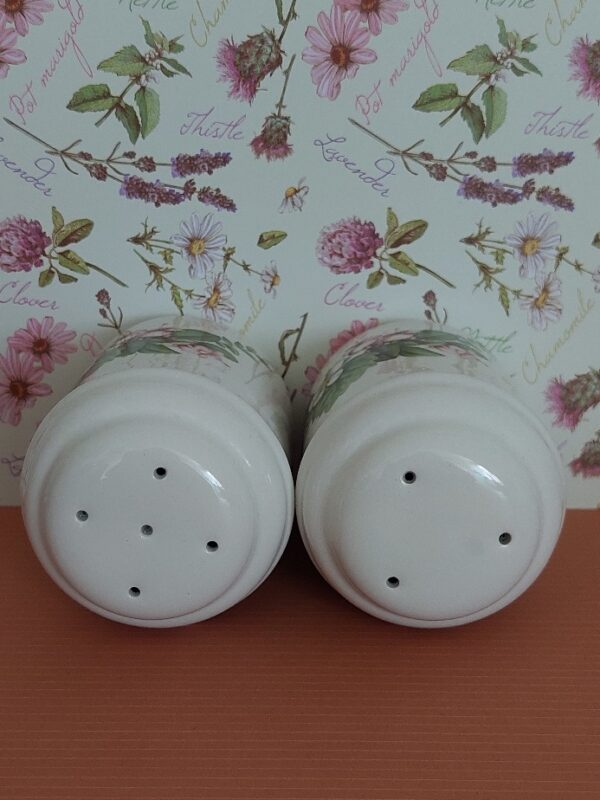 20240820_140150 Peper en zoutstel Libelle Marjolein Bastin