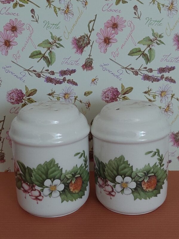 20240820_140242 Peper en zoutstel Libelle Marjolein Bastin