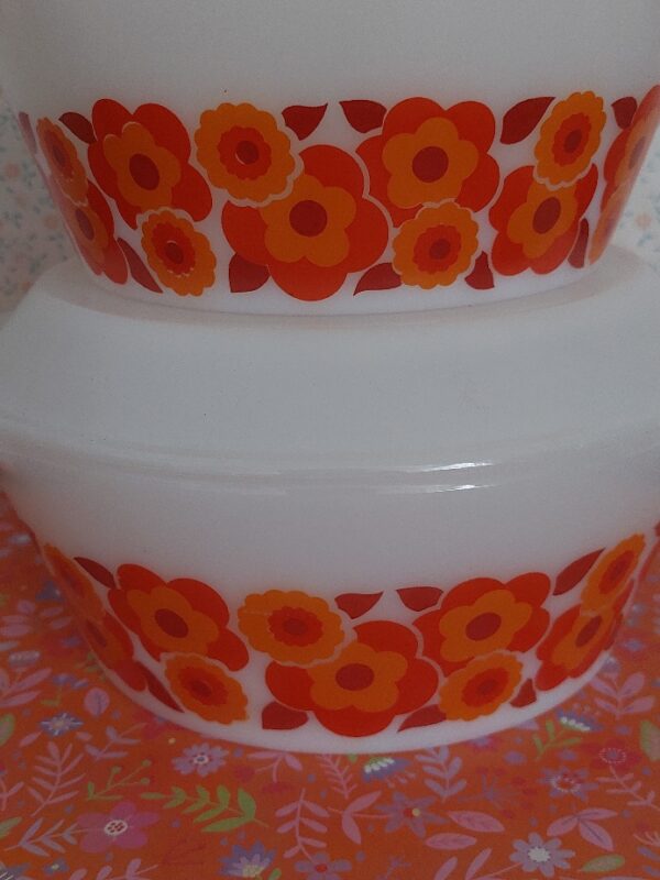 Set arcopal Lotus schalen