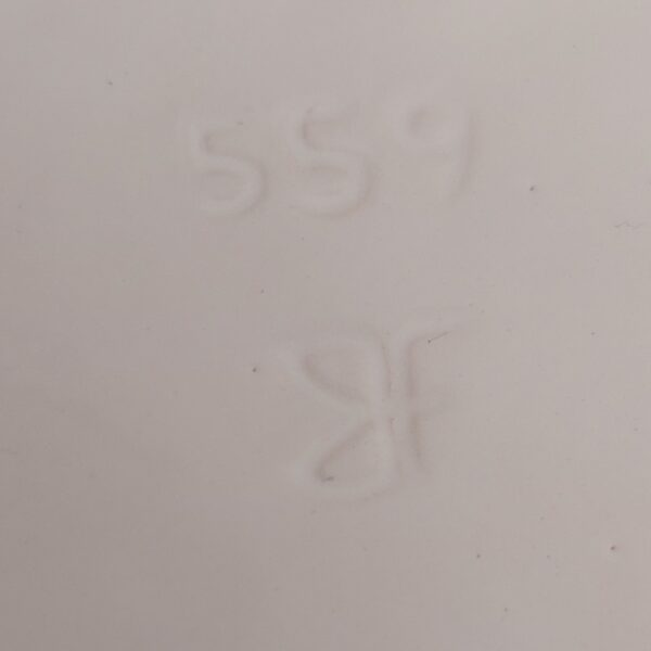 Barbotine Majolica  schaal