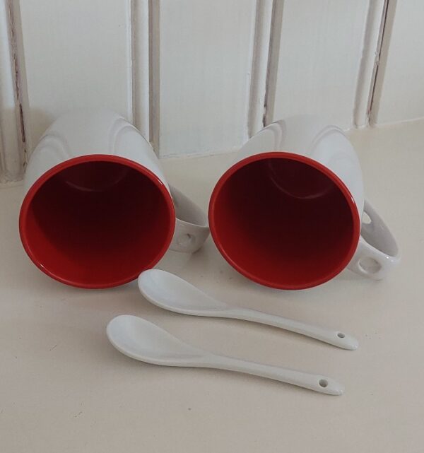 2 Bekers rode sneeuwvlokjes