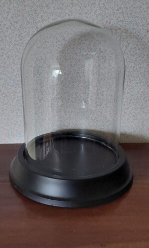 20241107_130524 Oude Stolp op Voet