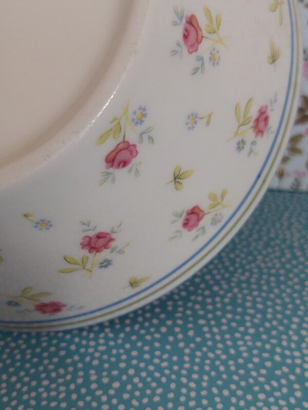 1 Ontbijtkom Zarah Jet