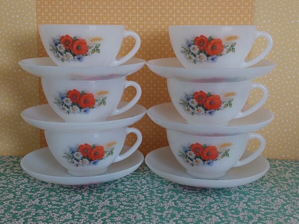 6 Kop en Schotels Arcopal France