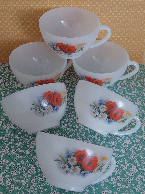 6 Kop en Schotels Arcopal France