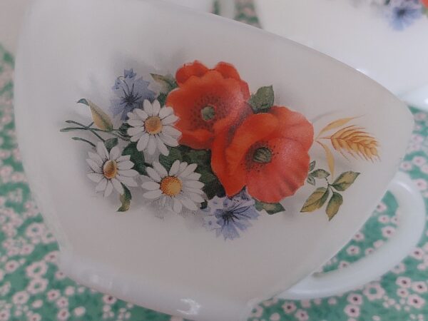 6 Kop en Schotels Arcopal France