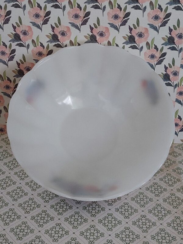 Arcopal France Schaal