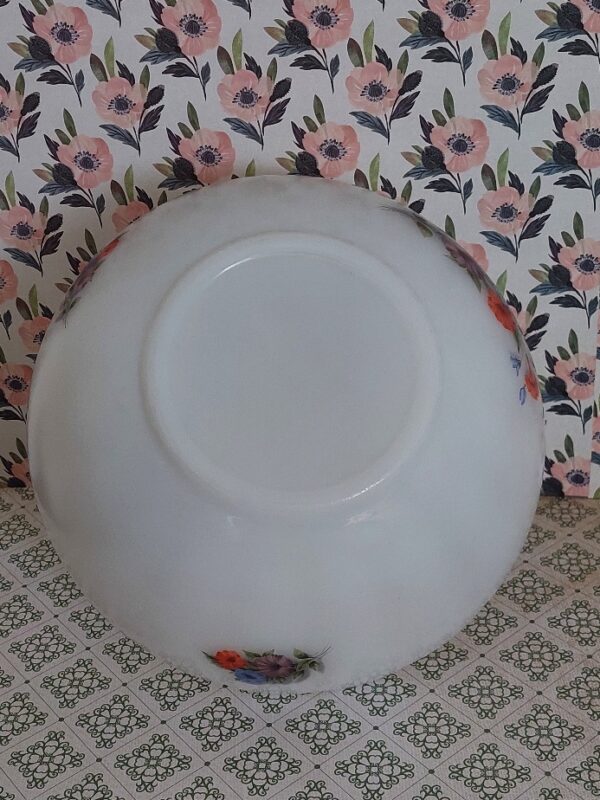 Arcopal France Schaal