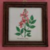 Botanica Tegel Schilderijtje