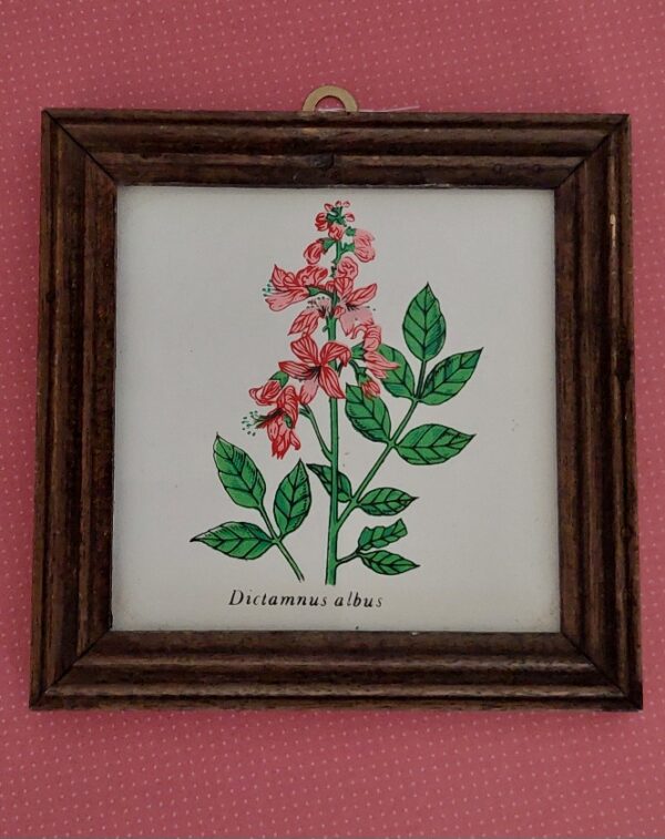 Botanica Tegel Schilderijtje