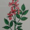 Botanica Tegel Schilderijtje