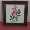 Botanica Tegel Schilderijtje
