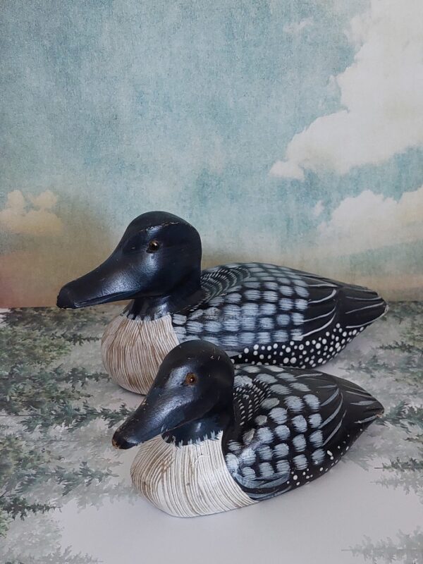 20250319_150055 2 Kleine Lokeendjes