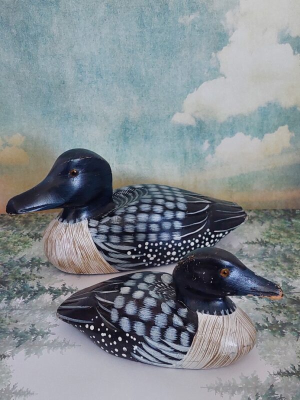 20250319_150108 2 Kleine Lokeendjes