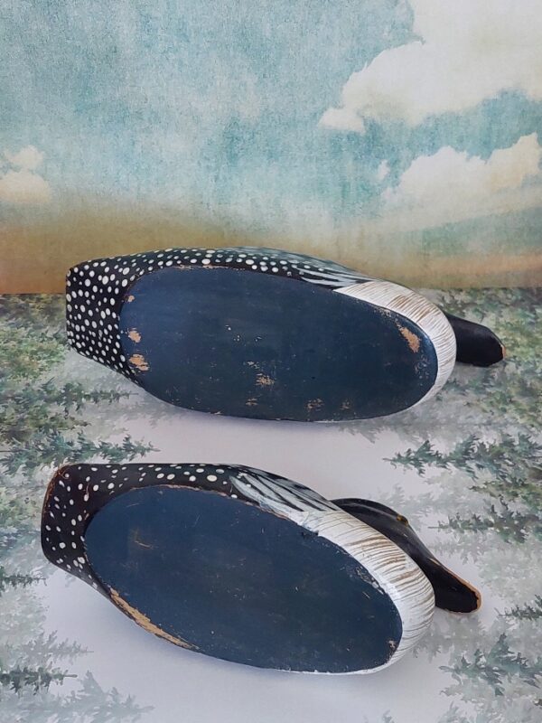 20250319_150122 2 Kleine Lokeendjes