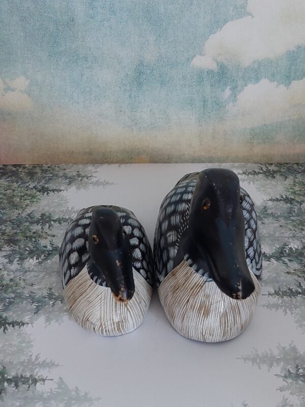 20250319_150141 2 Kleine Lokeendjes