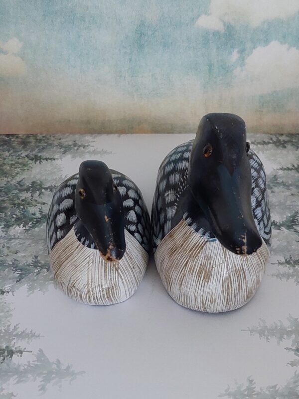 20250319_150357 2 Kleine Lokeendjes