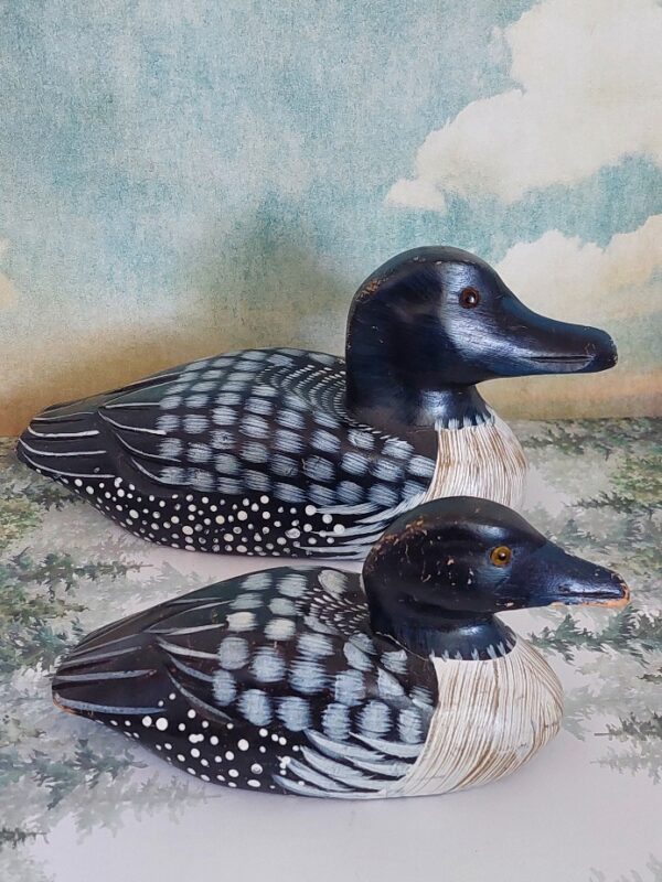 20250319_150410 2 Kleine Lokeendjes