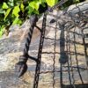 Gietijzeren Oogstmand Brocante