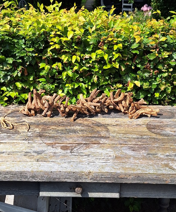 Slinger Van Houten Takken