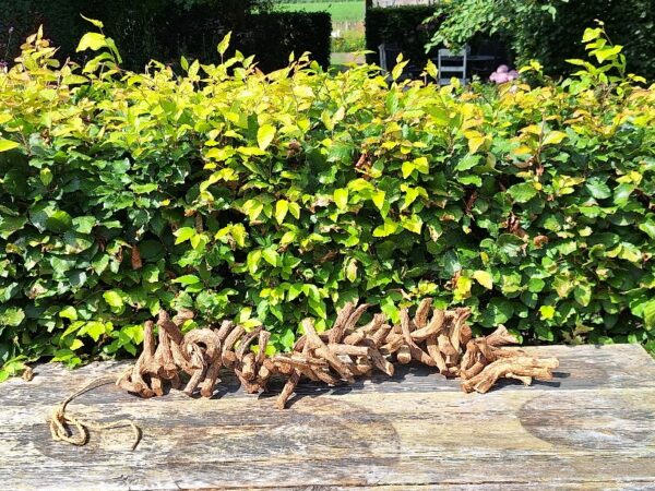 Slinger Van Houten Takken