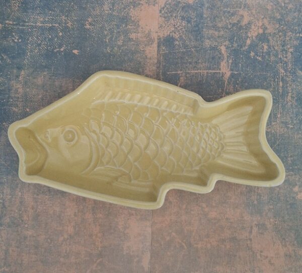 Puddingvorm Vis Pastelgeel