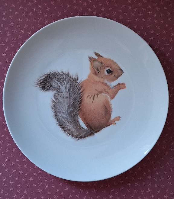 Wandbord Eekhoorn Wonder Wall