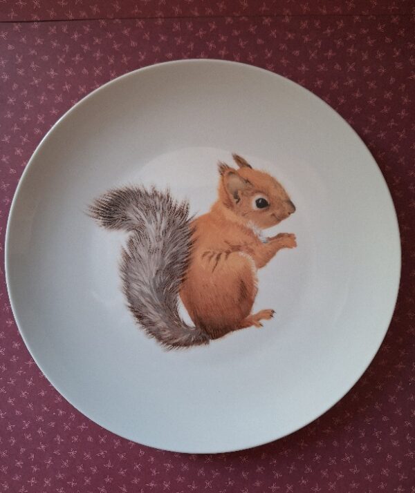 Wandbord Eekhoorn Wonder Wall