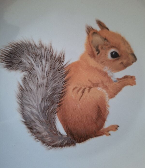 Wandbord Eekhoorn Wonder Wall